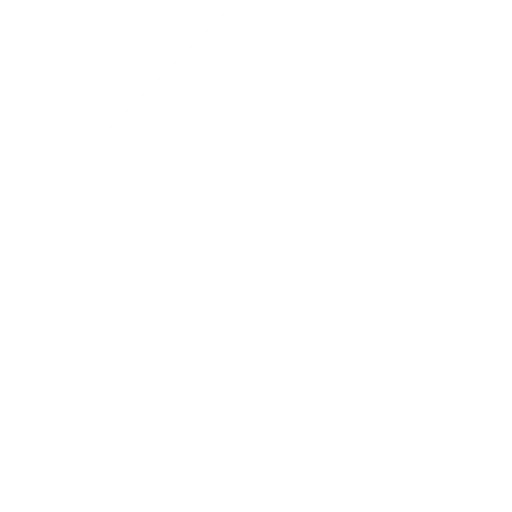 Início